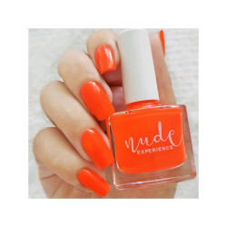 Vernis Lagzira