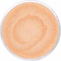 Correcteur Litchi