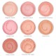 Nuancier Blush